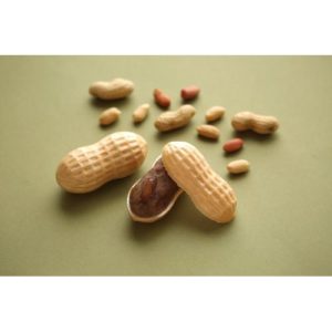 らっかせい最中